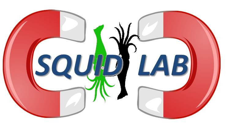 sqid logo